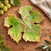 2026/09/1000246311.png Flache Keramikschale „Weinblatt“ – handgefertigtes Unikat